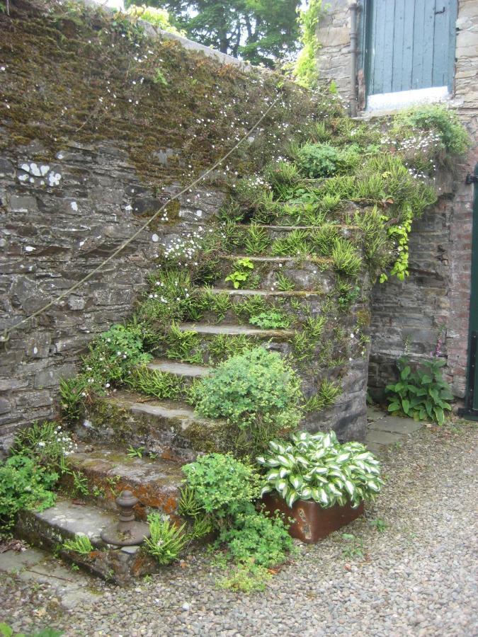 Ballydugan Country House Downpatrick Eksteriør billede