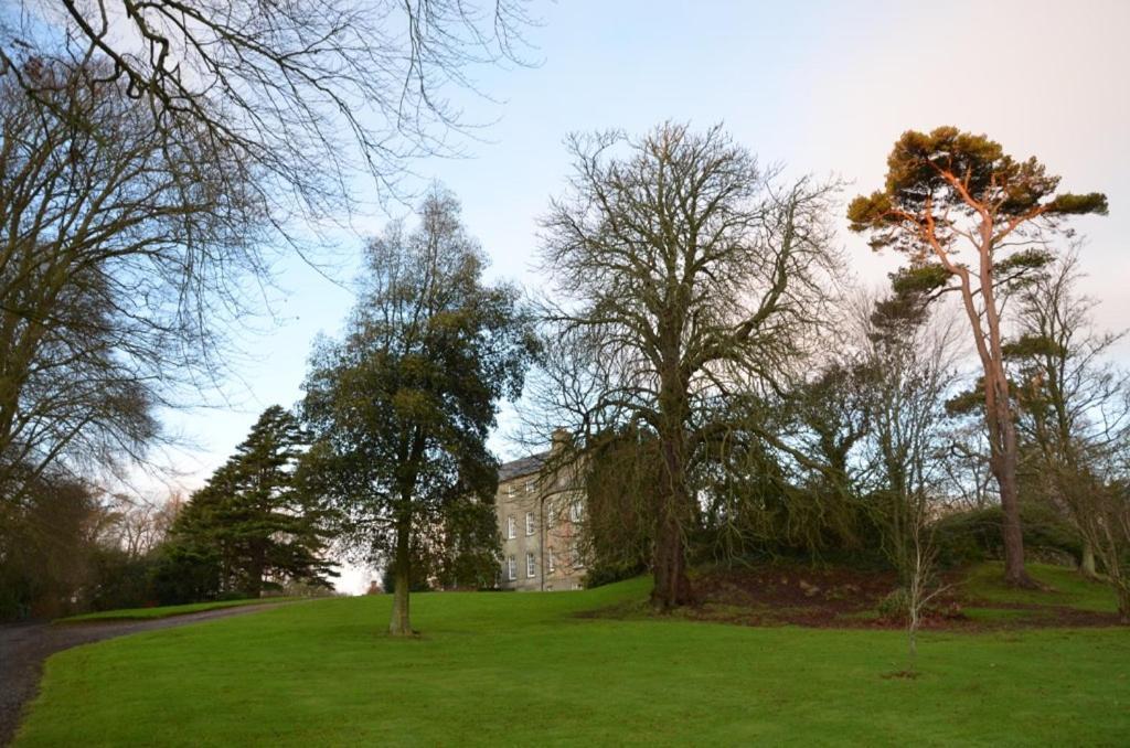 Ballydugan Country House Downpatrick Eksteriør billede