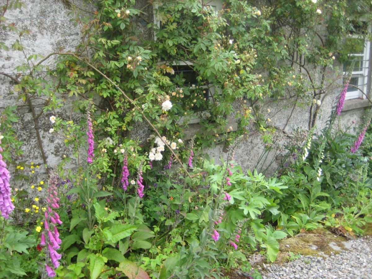 Ballydugan Country House Downpatrick Eksteriør billede